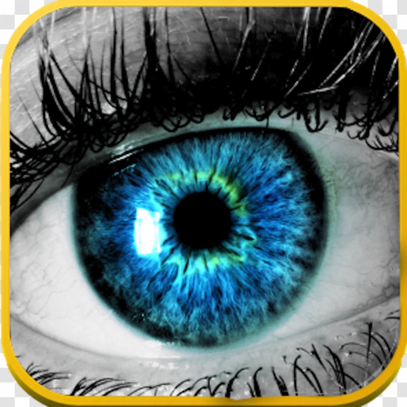 Eye Care Professional Human Retina Brain - Tree - Colorful Eyes Transparent PNG