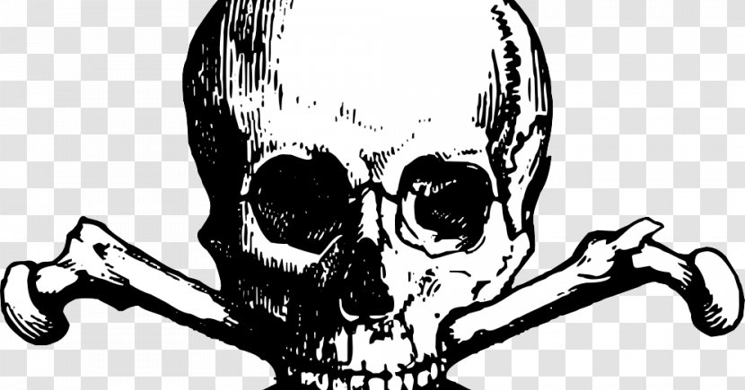 Skull And Crossbones Bones Calavera - Human Symbolism Transparent PNG