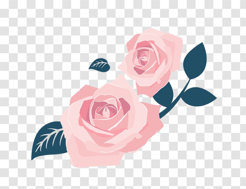 Garden Roses International Women's Day Centifolia - Plant - Design Transparent PNG