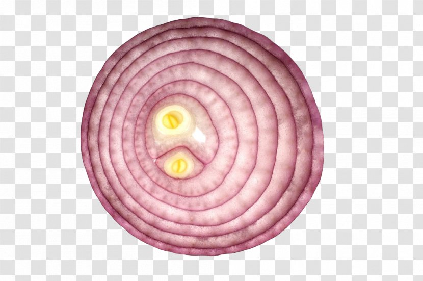Vegetarian Cuisine Shallot Red Onion Vegetable Yellow - Garlic Transparent PNG