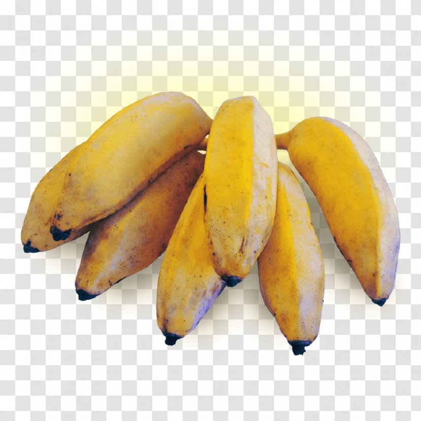 Dwarf Cavendish Banana Cooking Fruit - Musa Acuminata Transparent PNG