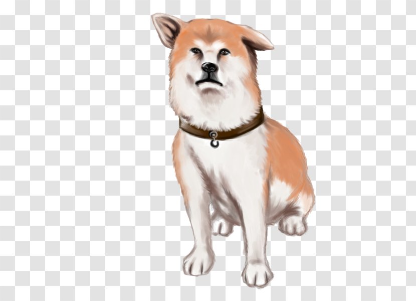 Dog Breed Companion Akita Whiskers Illustration - Snout - Hachiko Streamer Transparent PNG