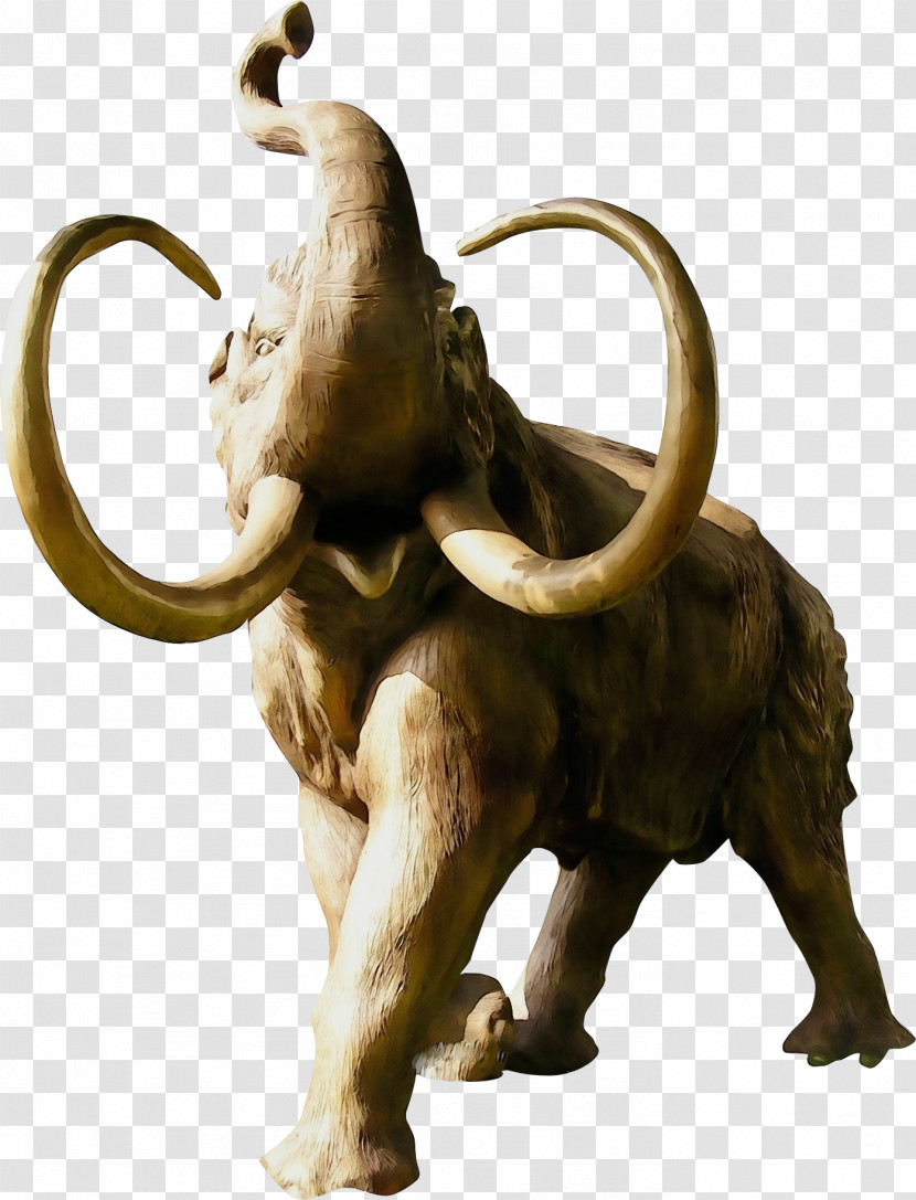 Indian Elephant Transparent PNG