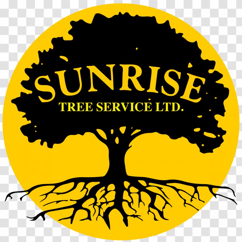 Sunrise Tree Service Oak Arborist House - Organism Transparent PNG