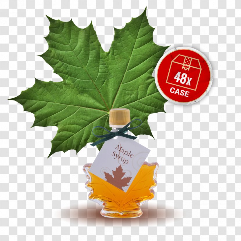 Canadian Cuisine Maple Syrup Sugar French Toast - Almond Milk - Bottle Transparent PNG