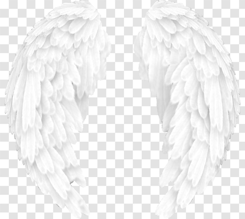 Black And White Editing Wing - Mergers Acquisitions - Angel Transparent PNG