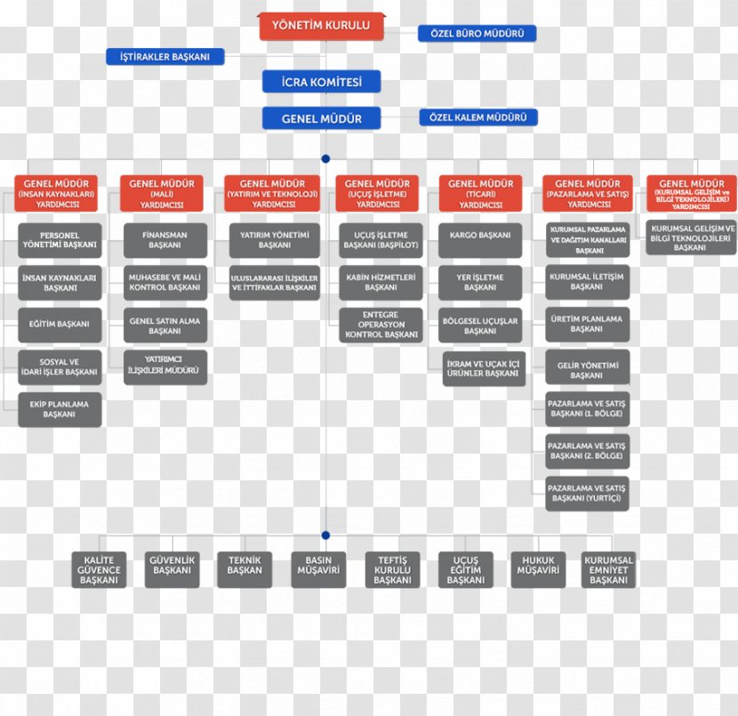 Organizational Chart Turkish Airlines Structure - Web Page - Business Transparent PNG