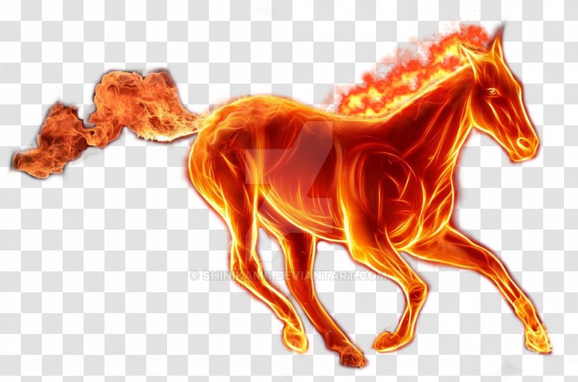 Horse Stallion Fire Clip Art - Mane Transparent PNG