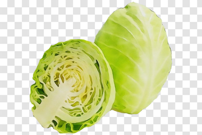 Cabbage Iceburg Lettuce Vegetable Leaf Vegetable Wild Cabbage Transparent PNG
