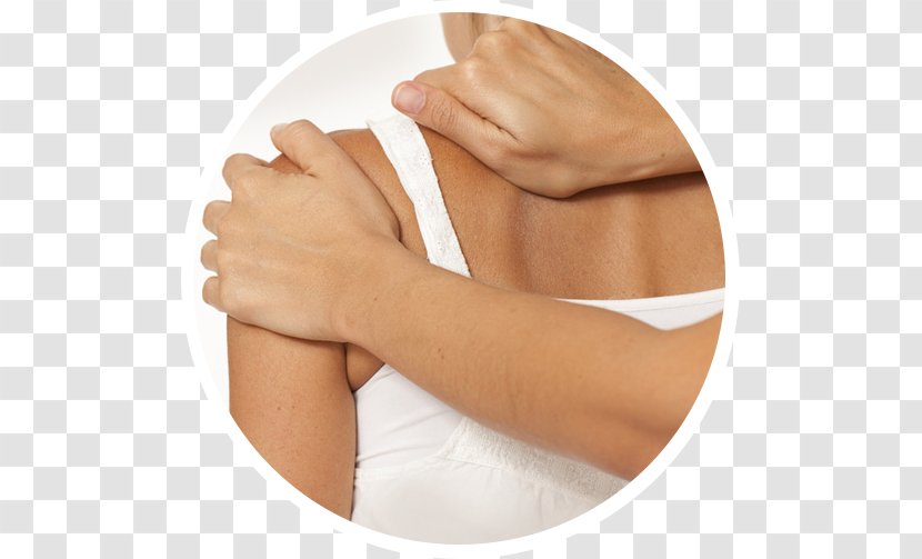 Shoulder Joint Physical Therapy Osteophyte - Replacement - Recruitment Notice Transparent PNG