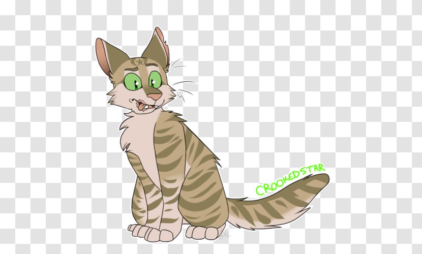 Tabby Cat Kitten Whiskers Wildcat - Carnivoran Transparent PNG
