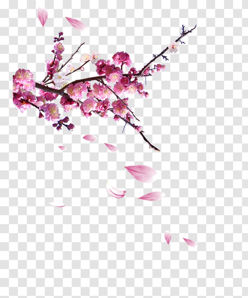 Chinoiserie Shan Shui Poster Fukei - Petal - Plum Flower Transparent PNG