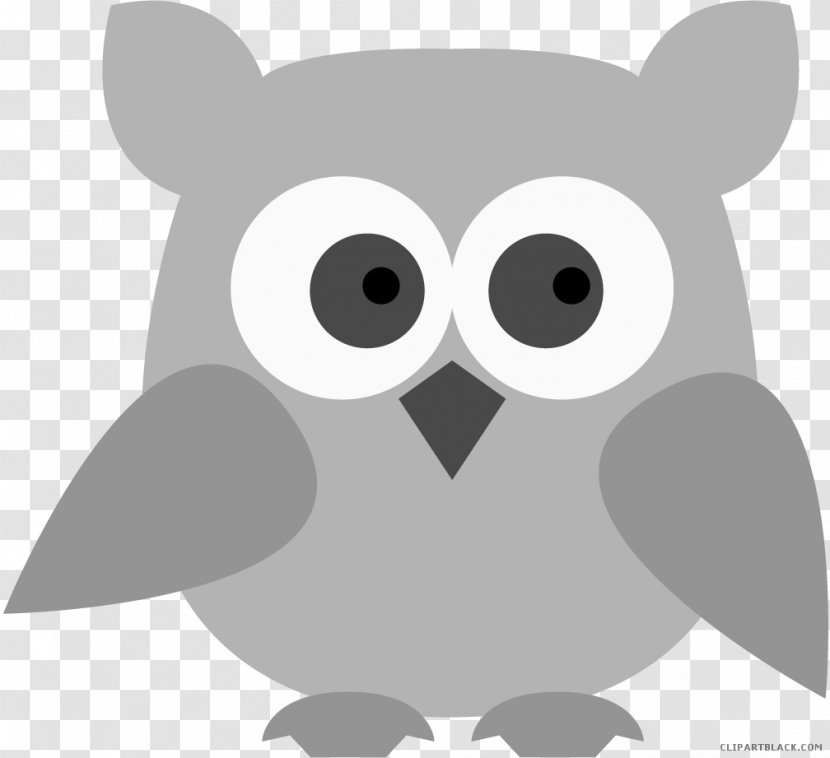 Owl Clip Art Image Illustration - Beak - White Transparent PNG