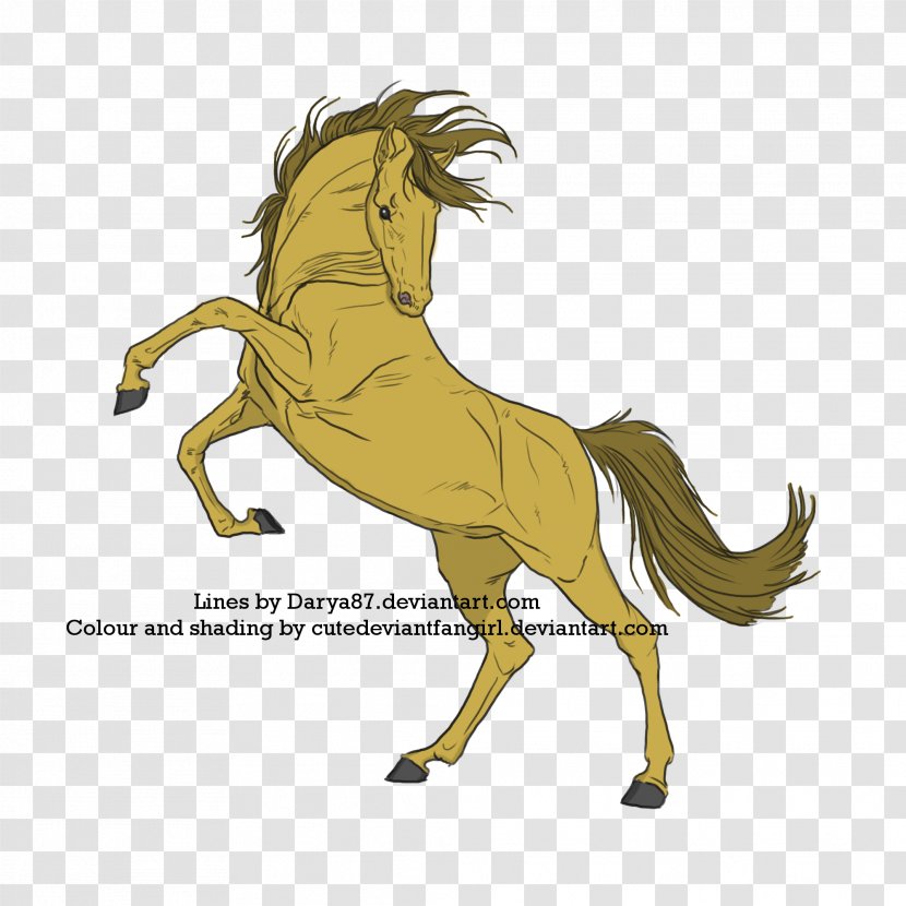 Mustang Pony Foal Stallion Mane - Deviantart Transparent PNG