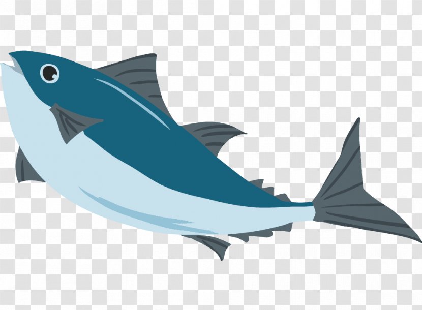Thunnus Chūtoro Yellowfin Tuna Clip Art - Whales Dolphins And Porpoises - Illust Transparent PNG