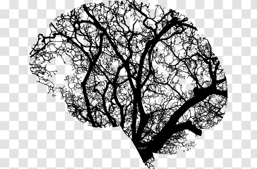 Human Brain Tree Clip Art - Flower Transparent PNG