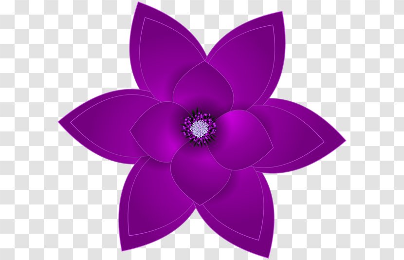 Border Flowers Clip Art - Floral Design - Purple Background Transparent PNG