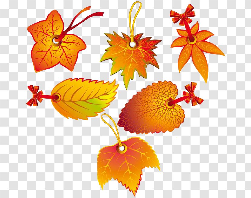 Autumn Leaf Color Clip Art - Flowering Plant - Maple Material Transparent PNG