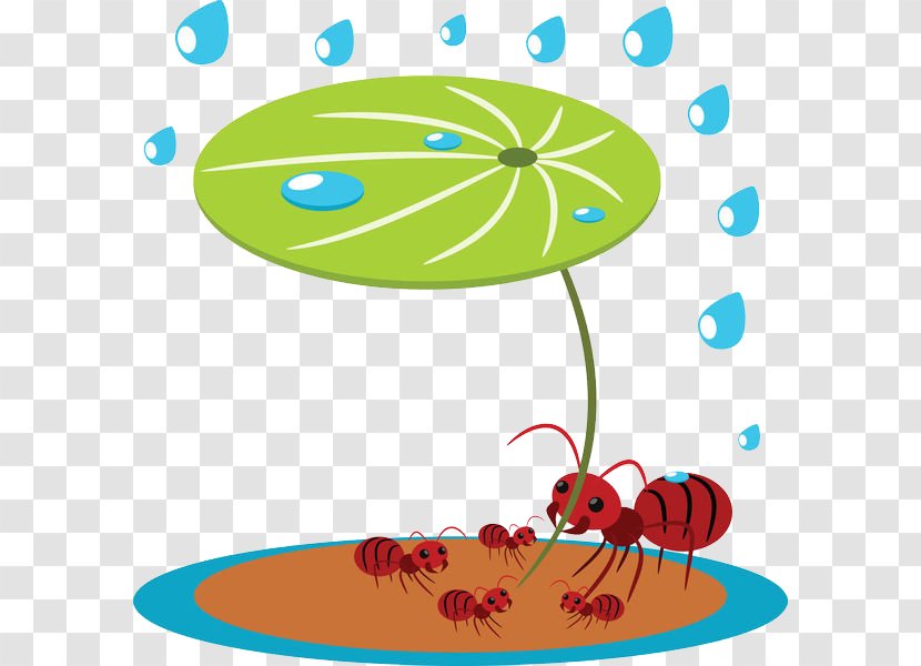 Ant Royalty-free Photography Illustration - Flora - Ants Under Lotus Leaves Transparent PNG