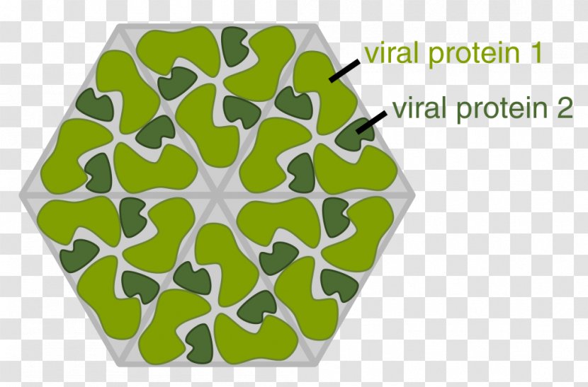 Virus Capsid Viral Protein Virion - Pathogen - Cartoon Of Ferocious Cells Transparent PNG
