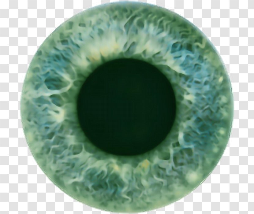 Iris Human Eye Pupil Color - Silhouette Transparent PNG