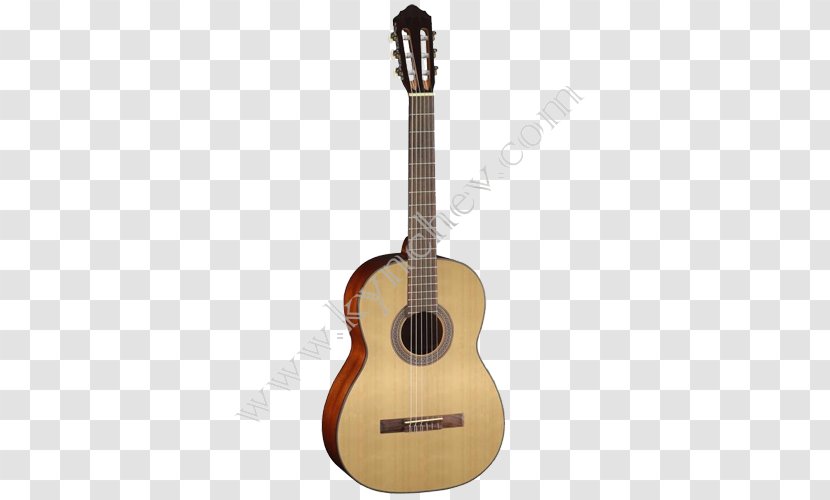 Classical Guitar Cort Guitars Acoustic Acoustic-electric - Cartoon Transparent PNG