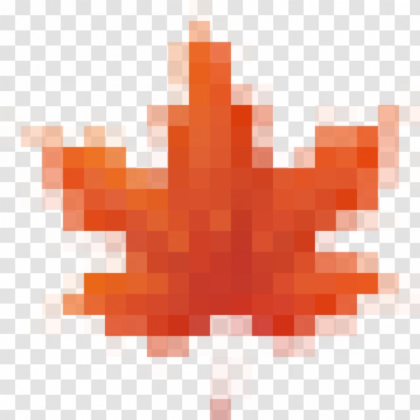 Rectangle Square Pattern - Symbol - Autumn Leaves Transparent PNG