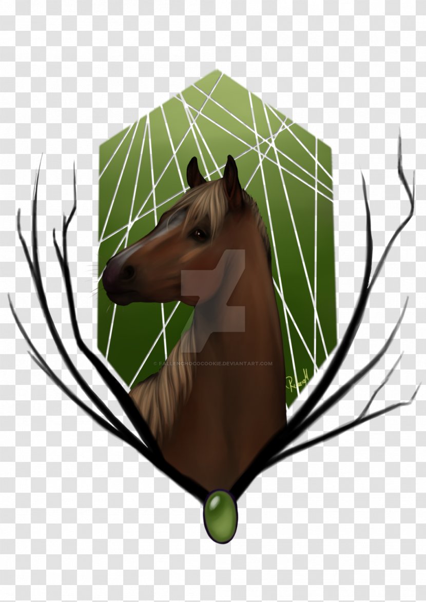 Mustang Horse Tack Freikörperkultur - Snout Transparent PNG