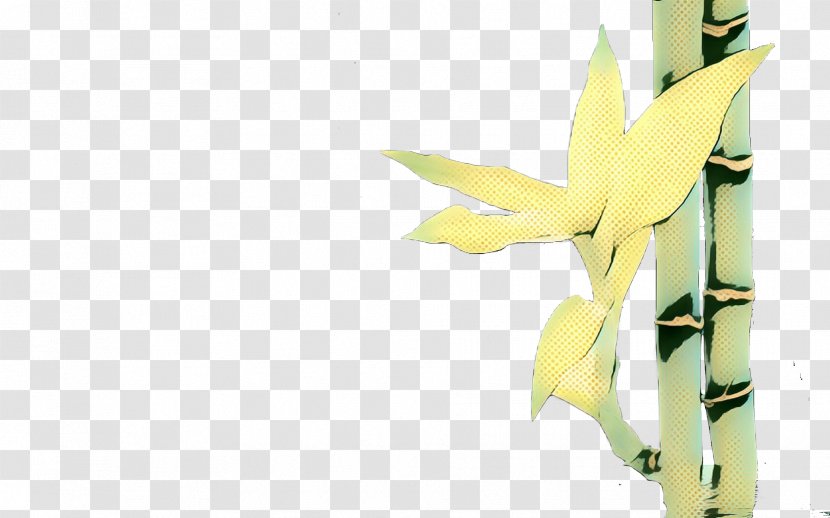 Flowers Background - Iris - Plant Transparent PNG