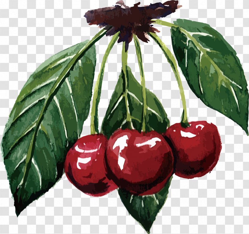 Cherry Cerasus Fruit Varenye - Washi - Red Vector Transparent PNG