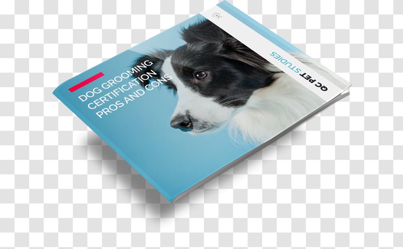 Dog Grooming Breed Certification Pet - Poodle Books Transparent PNG