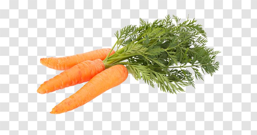Carrot Vegetable Food Stock Photography Shutterstock - Arugula Transparent PNG