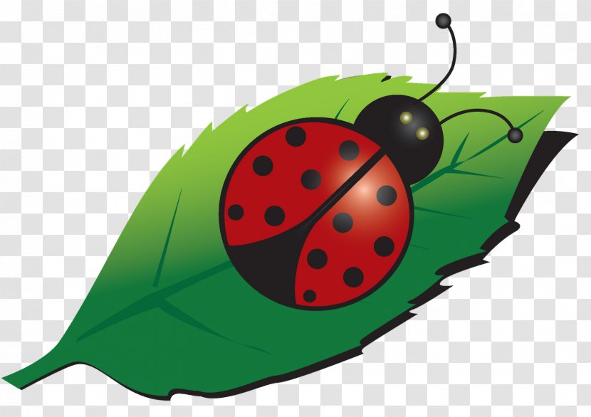 Ladybird Beetle T-shirt Email Clip Art - Food - Cute Ladybug Transparent PNG