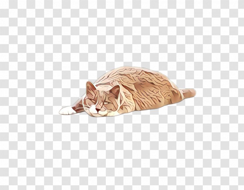Cat Toy Small To Medium-sized Cats Tabby Beige - Mediumsized - Bed Headgear Transparent PNG