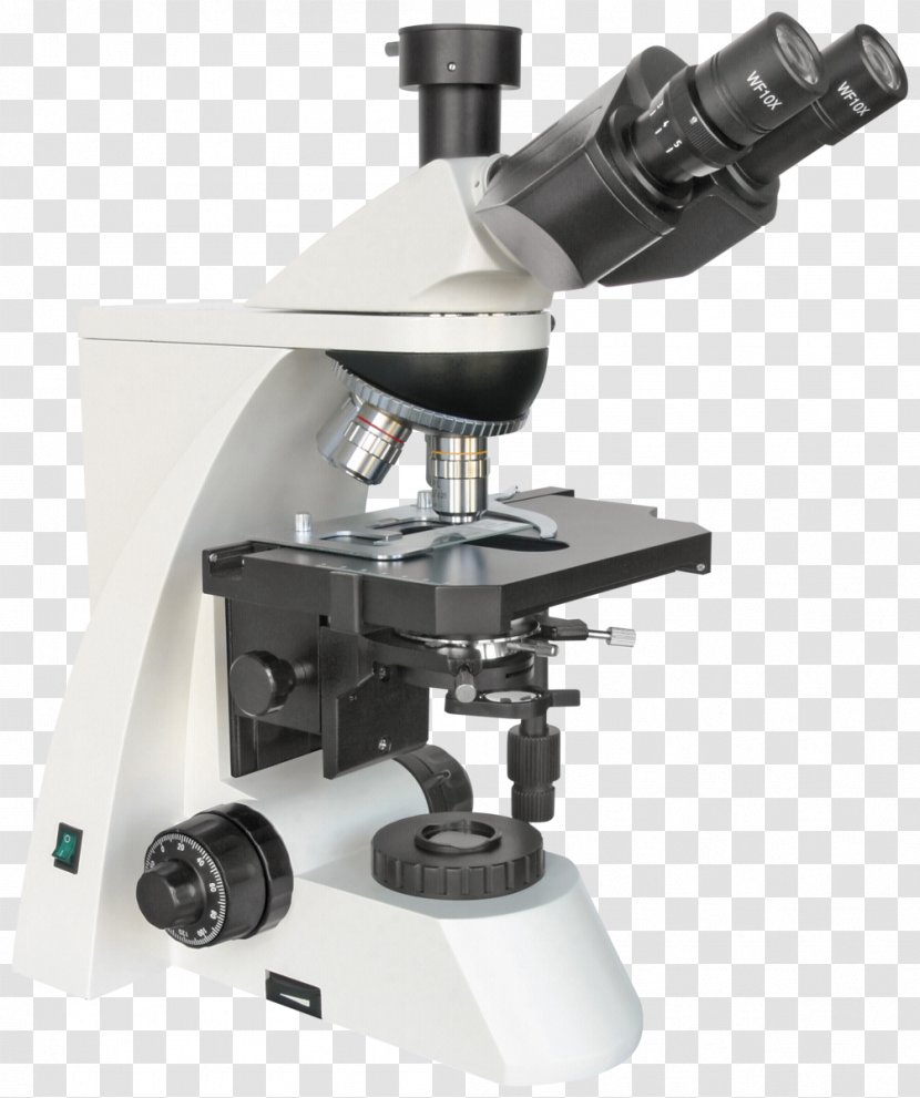 Light Optical Microscope Science Optics - Polarized Microscopy Transparent PNG