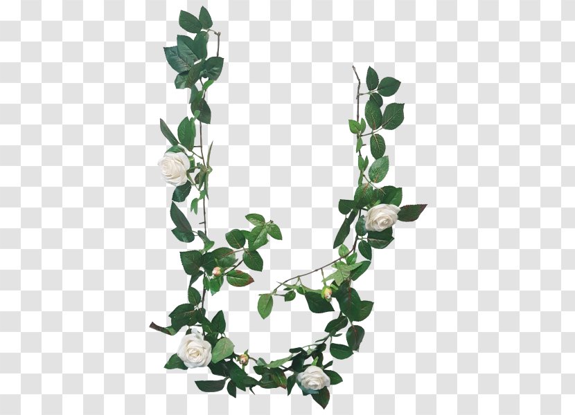 Branch Twig Plant Stem Leaf - Tree - Flower Garlands Transparent PNG