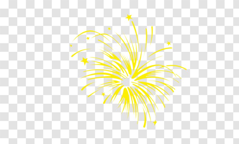 Yellow - Floral Design - Fireworks Picture Painted Transparent PNG