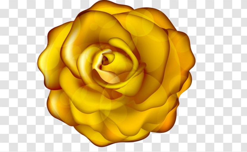 Garden Roses Yellow Flower Clip Art - Gold Transparent PNG