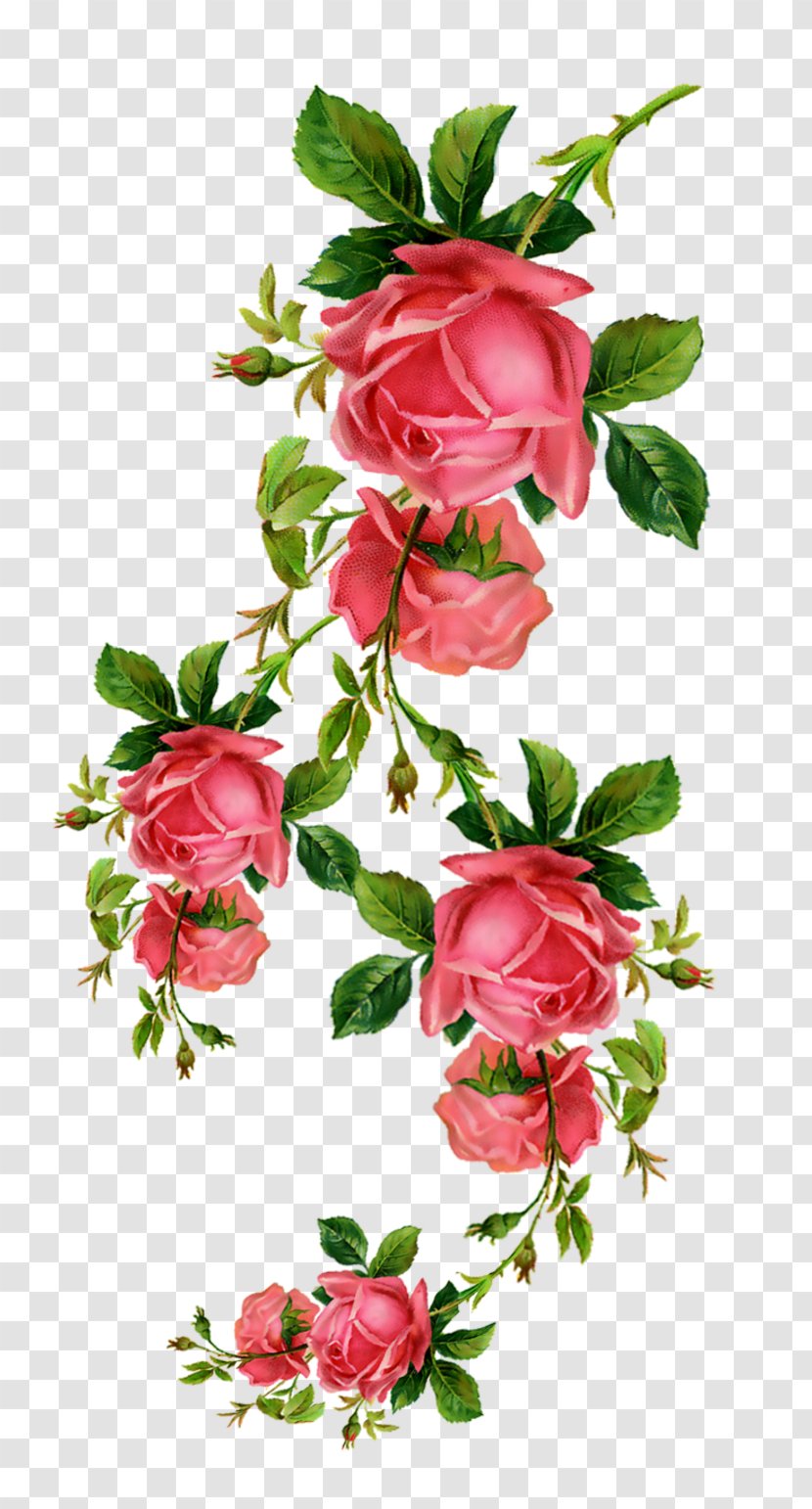 Flower Rose Blume Clip Art - 520 Clipart Transparent PNG