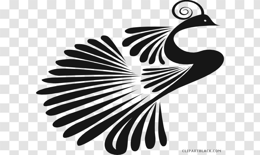 Clip Art Indian Peafowl Vector Graphics Image - Wing - Silhouette Transparent PNG