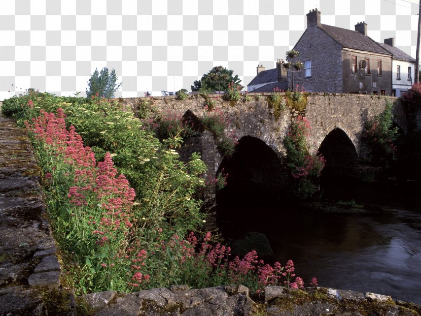 County Meath River Boyne Counties Of Ireland Aspect Ratio Wallpaper - Flower - Town Landscape Sixteen Transparent PNG