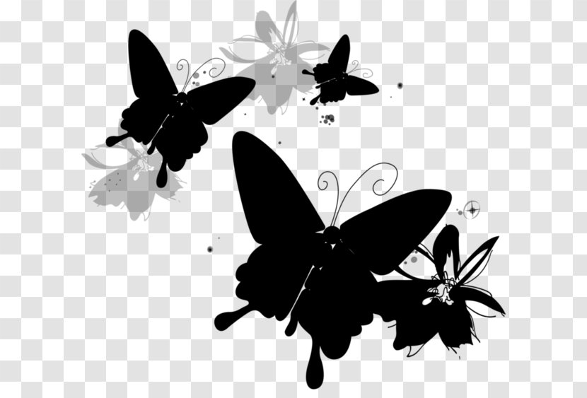 Clip Art Brush-footed Butterflies Drawing Child - Blackandwhite - Brushfooted Transparent PNG