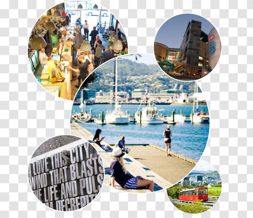 Leisure Vacation Plastic Collage Transparent PNG