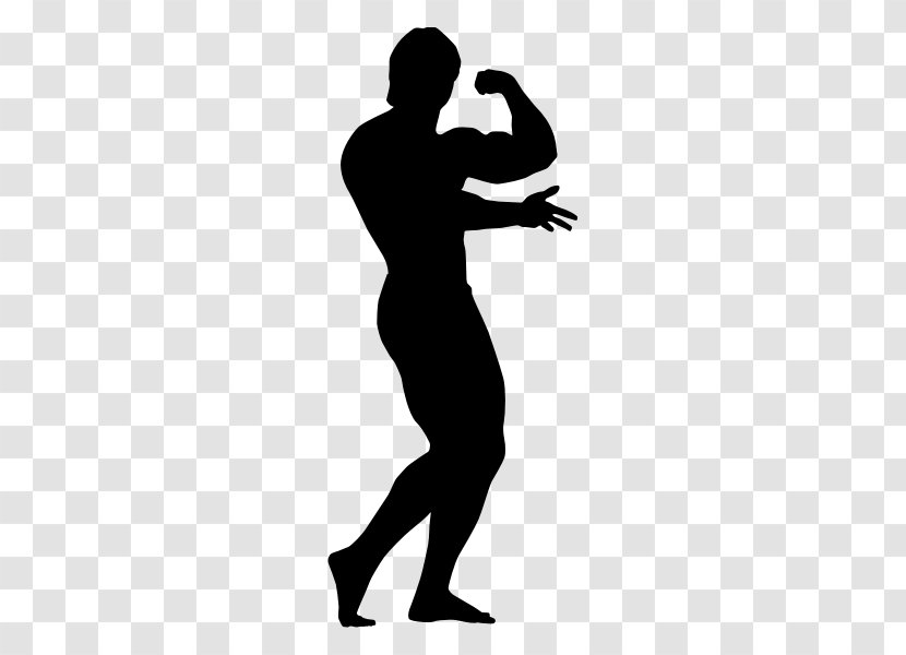 Bodybuilding Silhouette Physical Fitness - Muscle - Handsome Men Silhouettes Transparent PNG