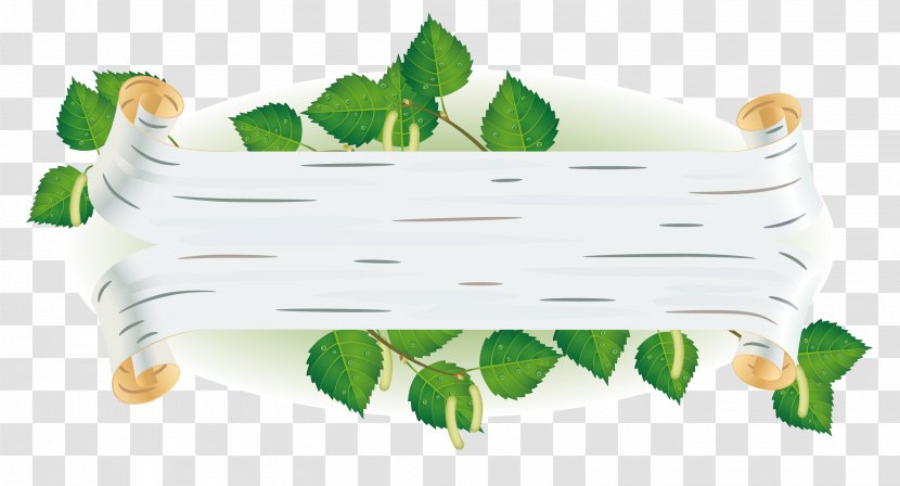 Birch Euclidean Vector Leaf Illustration - Flower - Grass Edge Banner Transparent PNG