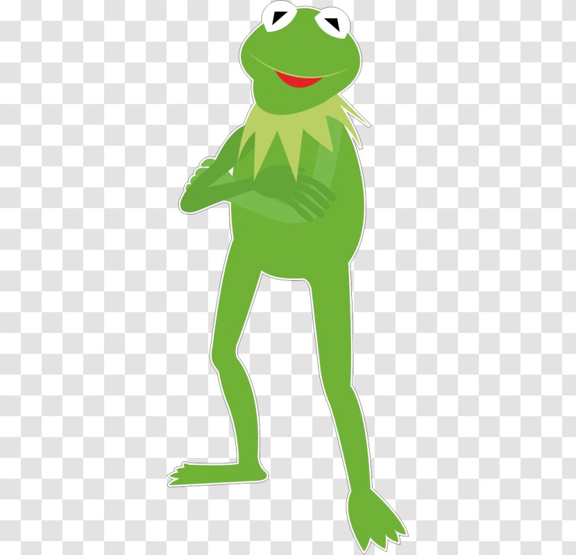 Tree Frog Kermit The Reptile Transparent PNG