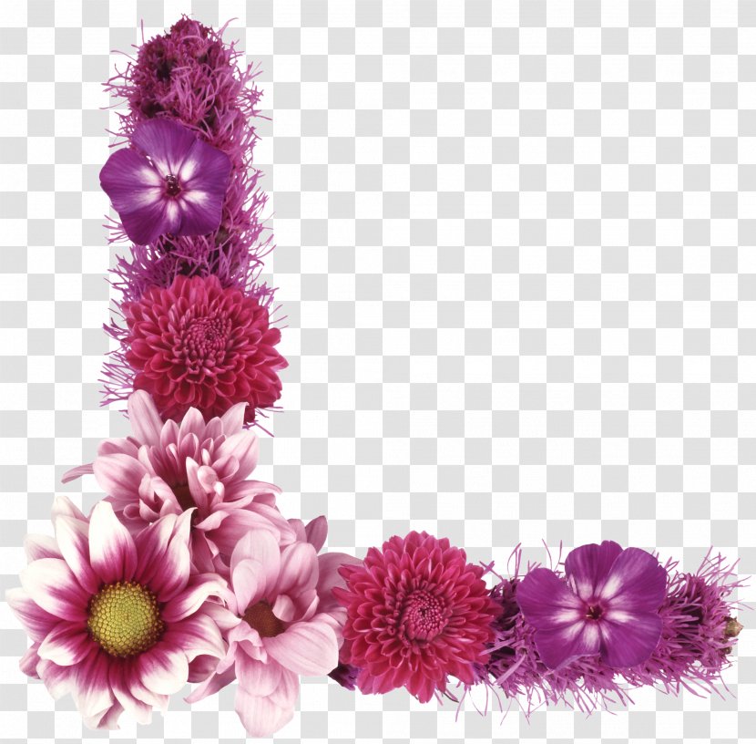 Dahlia Flower Photography Magenta Purple - Pink Family Transparent PNG