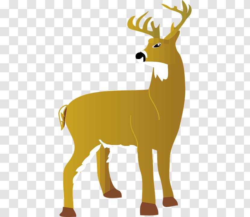 The White-tailed Deer Red Clip Art - Hunting Transparent PNG
