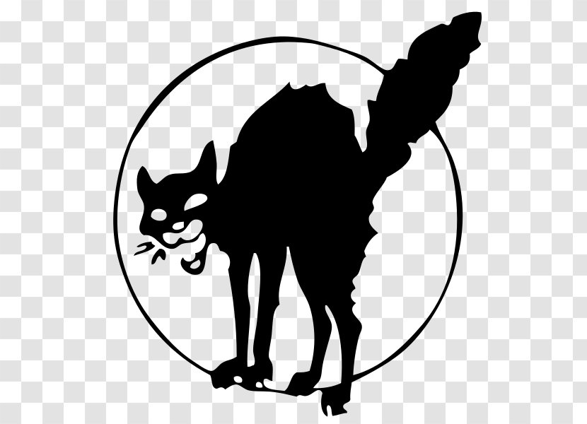 The Black Cat Anarchism Anarchy - Whiskers Transparent PNG