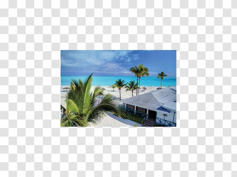 Green Turtle Cay Treasure Hope Town Hilton At Resorts World Bimini Big Joe Downer - Island Media Transparent PNG